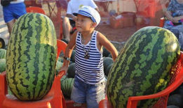 酒吧吃瓜爆料是真的吗,真相还是谣言？